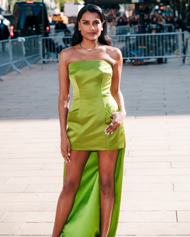 Click to view full size image
==============
042.jpg 042.jpg