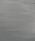 Filename=1092.jpg
Filesize=300KiB
Dimensions=3000x1497
Date added=Nov 27, 2024 1092.jpg