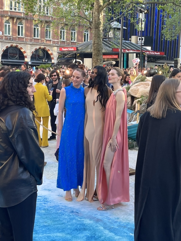 via @iris_bee_ on Twitter
