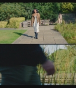 3564.jpg